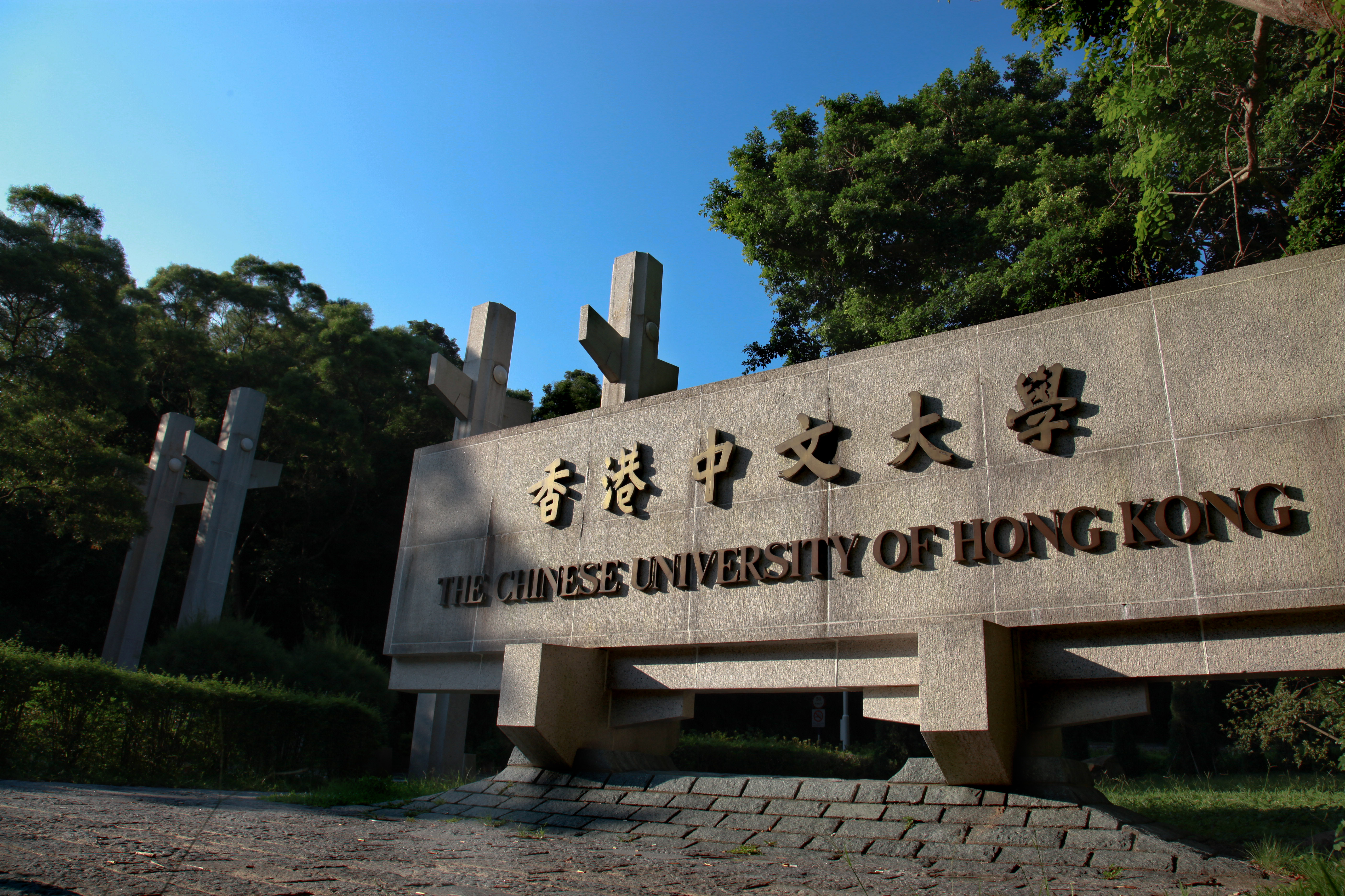 Bachelor’s In Biomedical Engineering At Chinese University Of Hong Kong ...