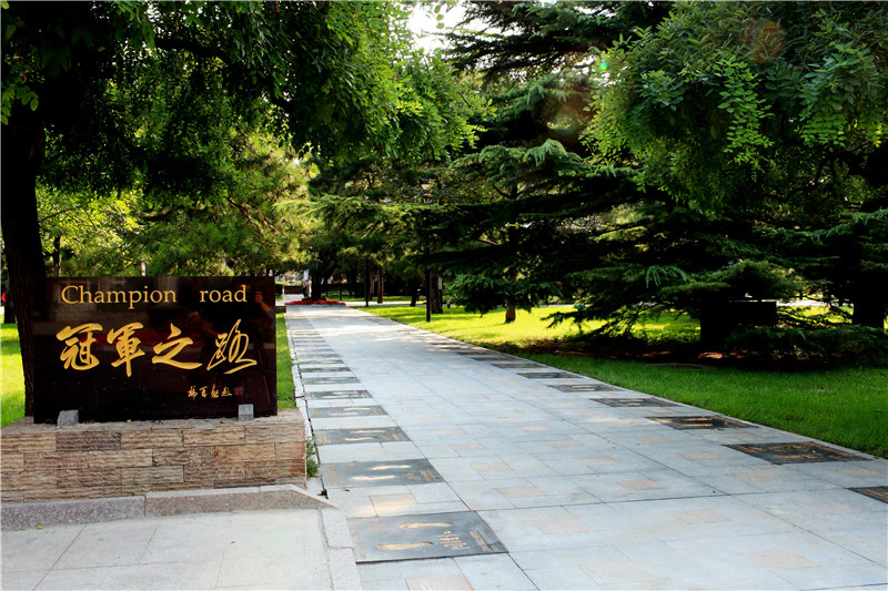 PEKING UNIVERSITY VS BEIJING SPORT UNIVERSITY visual data 5