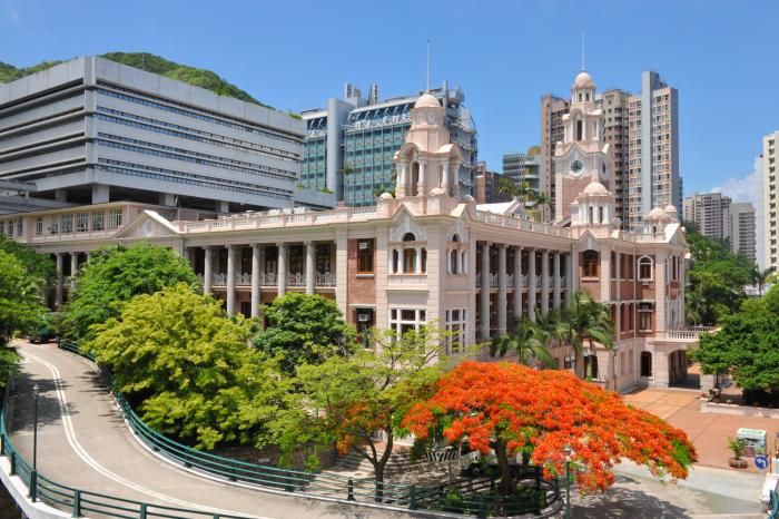 the university of hong kong - hku business school