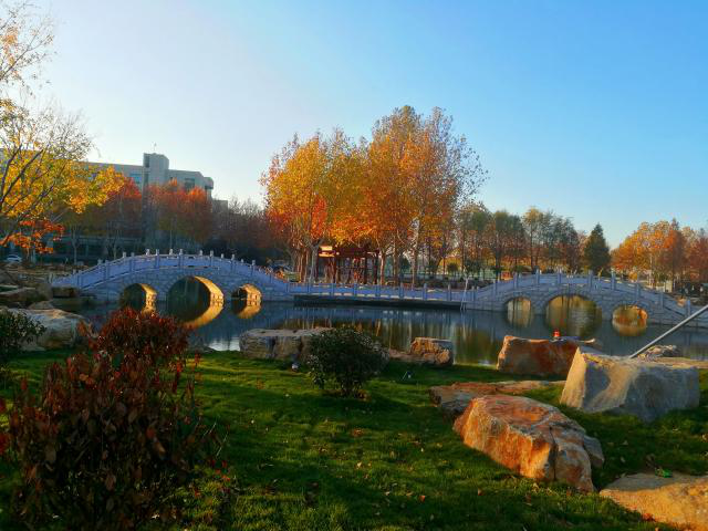 Jining University 济宁学院