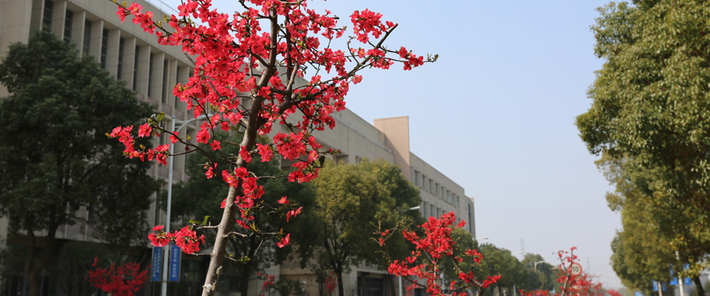 Nanchang Institute of Technology NCIT - China Admissions