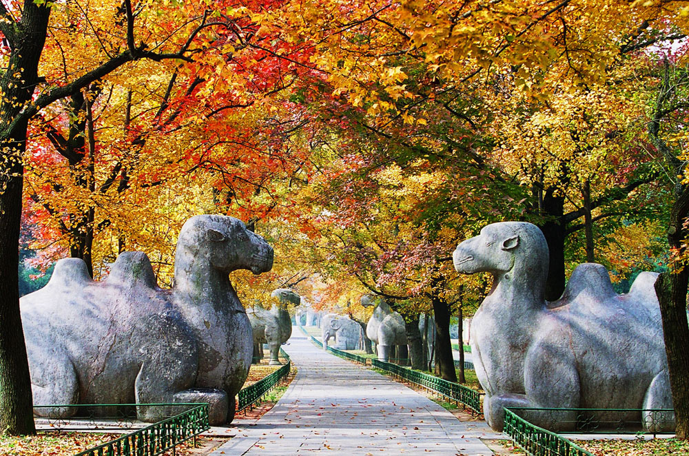 Nanjing University Of Science And Technology Njust China Admissions Nanjing University Of Science And Technology Njust China Admissions
