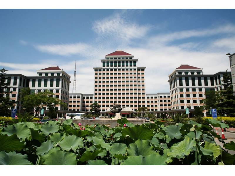 洋書 Financing Universities in Developing Cou Financing Public Universities: The Case of Performance