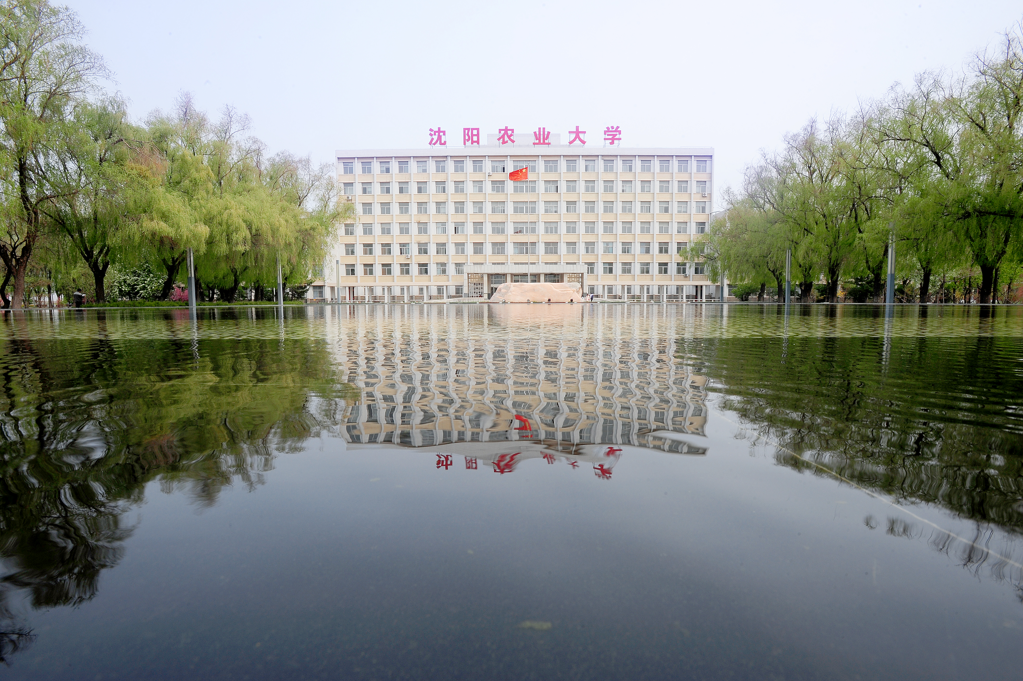 Shenyang Agricultural University SYAU - China Admissions