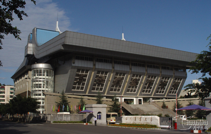 PhD in Biochemistry and Molecular Biology (Maize Research Institute) at